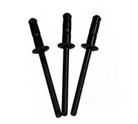 100 Pcs Single Drum Stainless Steel Blind Rivets, 4mm Black Dome Head Open End Pop Rivets for Metal Wood Plastic, Indoor Outdoor Fixings(4x16mm)