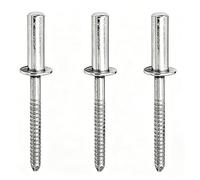 100 PCS Stainless Steel Blind Rivets, 6mm Closed End Pop Rivets with Dome Head for Metal, Furniture, Car, Ships, Motor Vehicles, Mechanical(6X10mm)