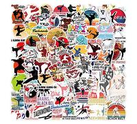 100 pegatinas de artes marciales de Kung Fu - Pegatinas personalizadas con motivos de artes marciales, karate, taekwondo y kung fu, adecuadas para portátiles, monopatines, coches, equipaje y más