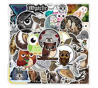 100 pegatinas de búho para niños, adolescentes, niñas, regalos, lindos animales, graffiti, impermeables, pegatinas para ordenador portátil, equipaje, monopatín, motocicleta, bicicleta, álbum de