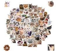 100 Pegatinas Divertidas de Gatos, Pegatinas Lindas de Gatos Impermeables, Pegatinas Impermeables de Vinilo, para Botellas de Agua, Cuadernos, Patinetas