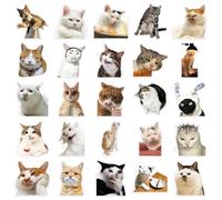 100 Pegatinas Divertidas para Gatos, Pegatinas Decorativas de Material para Mascotas para Diarios, escritorios, Cuadernos, Manualidades y Uso Diario
