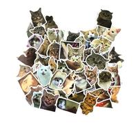 100 pegatinas emoji de gatitos, divertidas calcomanías aptas para coches, ordenadores, monopatines, bicicletas y motocicletas.