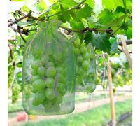 100 pieces Grape Protection Bag, size: 30 x 20 cm, colour: green, with cord, gives total protection against wasps, birds, Material: Organza