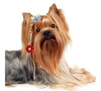 100 piezas (50 pinzas para el pelo de perro y 50 bandas de goma para el pelo de perro) mariposa con clip para el pelo de perro, flor con banda de goma, accesorios para el pelo de perro, accesorios