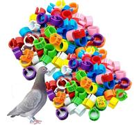 100 piezas 8/10/12 mm patas de paloma con patas de pollo patas de paloma con patas de pollo con bucles para una fácil instalación para distinguir las aves de corral (10 colores) 10mm (0.39in)101-200