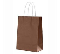 100 Piezas Bolsas de Papel con Asas, Bolsa de Regalo de Compras Bolsas Kraft para Venta al por Menor Mercados Cafetería Comida para Llevar Boutique Tienda de Comestibles-R-15x8x21cm(6x3x8in)