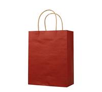 100 Piezas Bolsas Papel Kraft, Bolsas de Papel con Asas Bolsas Kraft Navidad Baby Shower Día de Acción de Gracias Halloween Pascua Boda Fiestas Infantiles Bolsas de Regalo-3-26x12x31cm(10x5x12in)