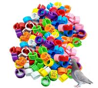 100 piezas de anillos para patas de Paloma de 8/10/12mm, anillos coloridos para patas de aves de corral, etiquetas de identificación para una fácil numeración de gestión de aves 10mm (0.39in)201-300