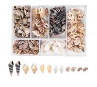 100 Piezas de Concha de mar pequeña, decoraciones y proyectos de manualidades, perfecto para decoración del hogar y temas náuticos