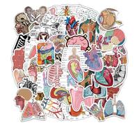100 piezas de pegatinas de anatomía de órganos, pegatinas para portátiles de ordenador, pegatinas de órganos, pegatinas de equipaje, pegatinas decorativas