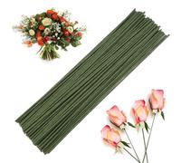 100 Piezas Herramienta Florales, 25 cm Alambre para Flores, Alambre Manualidades 2 mm, Tallo Floral Alambre Verde para Flores Artificiales, Corona, Ramo