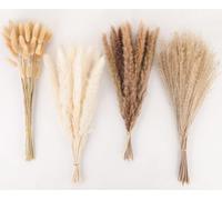100 Piezas Pampas Secas Decoracion Hierba