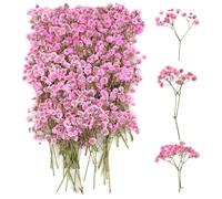 100 Piezas Paniculata Preservada, Gypsophila Paniculata Rosas, Flores Secas Decoracion, Flores Secas Manualidades, Flores Prensadas para DIY Álbumes de Recortes, Marcapáginas