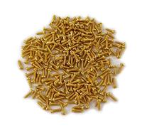 100 piezas para guitarra Scratch Plate tornillos de montaje piezas instrumentos musicales accesorio eléctrico golpeador guitarra Pickguard