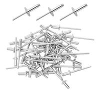 100 Piezas Remaches de Aluminio con Cabeza Ancha, 4.8 x 16mm Remaches Ciegos de Aluminio con Brida Grande,Juego de Remaches Ciegos de Aluminio, para Construcción, Industrial, Automoción y Mobiliario