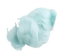 100 % pluma colorida globo transparente relleno cumpleaños boda decoración globo feathen feathen plumas de boda