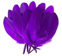 100 plumas de ganso moradas de 6 a 8 pulgadas para manualidades, bodas, fiestas, decoración, ropa, sombreros, accesorios, atrapasueños