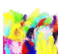 100 plumas de ganso, plumas coloridas, plumas para manualidades, plumas de manualidades, plumas llamativas, para decoraciones de bricolaje, sombrero, disfraz