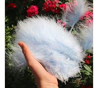 100 plumas de pavo de plumas de pavo para manualidades, decoración de atrapasueños, color verde claro