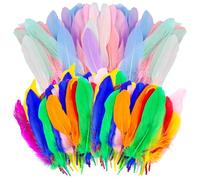 100 plumas naturales para manualidades, plumas suaves y coloridas, manualidades de plumas de 15 - 20 cm, plumas de ganso naturales para manualidades, atrapasueños, bodas, decoración del hogar