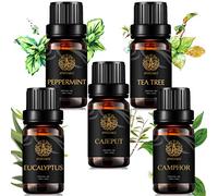 100% puro alcanforado aceite esencial Kit, grado terapéutico eucalipto aceite set para difusor,5x10ml aromaterapia Alcanfor Aceite esencial kit - Eucalyptus,melaleuca,menta,árbol de té,alcanfor aceite