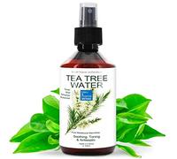 100% Puro Hidrolato de Árbol de Té Agua Floral Piel con Imperfecciones. Spray Limpiador Facial Piel Grasa, Mixta, Acné, Puntos Negros. Reduce Poros Abiertos. Tónico Hombre, Mujer - 100 ml
