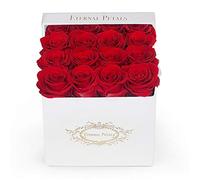 100% Real Roses That Last A Year - The Perfect Unique Gift for Women, Men, Anniversary Gift, Birthday Gift - White Velvet (Red)