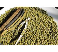 100 Seeds - Organic fagioli mung (verde) conosciuta anche come Chori, Per Spouting, il cibo o la coltivazione:Seeds