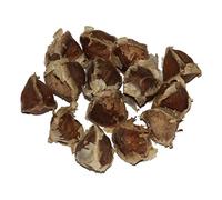 100 Semillas Moringa Oleifera By Samenchilishop