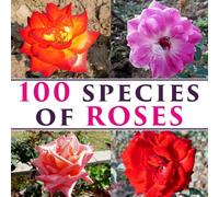 100 Species Of Roses: Floral Art Book | Coffee table book | Premium Quality Rose Species Photograph Collection