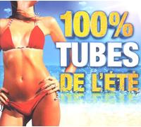 100% Summer Hits 2013
