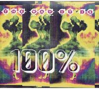 100% - The Way It Is/the Way It Is