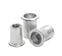 100 Uds 50 Uds 20 piezas M3 M4 M5 M6 M8 M10 M12 tuerca Rivnut de aleación de aluminio cabeza plana remache roscado inserto Nutsert remache tuerca(100pcs,M6x30)