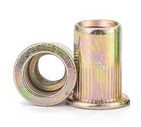 100 Uds 50 Uds 20 piezas Uds M3 M4 M5 M6 M8 M10 M12 304 tuerca de acero inoxidable remache roscado de cabeza plana inserto Nutsert remache tuerca(20pcs Zinc Plated,M12)