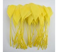 100 unids/lote de plumas de ganso de colores para manualidades, rosa y rojo, plumas de gansos artificiales, decoración de accesorios de boda