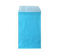 100 Unids/set Mini Sobres Paquetes Jardín Hogar Papel Kraft Semillas Sobres Protectores Bolsas de Almacenamiento Dot Bolsa de Regalo Cumpleaños-azul claro sólido-10 piezas