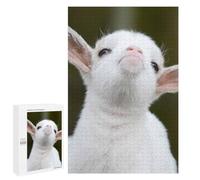 1000 PCS Rompecabezas para Adolescentes Baby Animal Goat Rompecabezas Juegos Relajantes Desafío Difícil Desafiante De Completar 1000 PCS