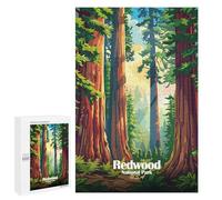 1000 PCS Rompecabezas para Adolescentes Redwood National Park Illustration Rompecabezas Juegos Relajantes Pero Divertidos Y Humorísticos Cumpleaños Y Navidad 1000 PCS