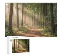 1000 PCS Rompecabezas para Adolescentes Sunlit Forest Path Rompecabezas para Adultos Juego Práctico Montaje De Patrones Cumpleaños Y Navidad 1000 PCS