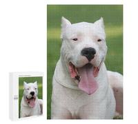 1000 PCS Rompecabezas para Adultos Dogo Argentino Rompecabezas para Adultos Juegos Divertidos Alivia El Estrés Desafiante De Completar 1000 PCS