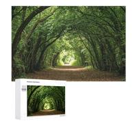 1000 PCS Rompecabezas para Adultos Y Adolescentes Green Forest Tunnel Path Rompecabezas para Adultos Juego Familiar Desafío Difícil 1000 PCS