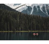1000 Piece Jigsaw Puzzle for Adults and Kids Age 14 Years Up - Bosques de Barcos y Lagos 75x50cm