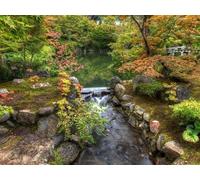 1000 Piece Jigsaw Puzzle for Adults and Kids Age 14 Years Up - Estanque del jardín del río 75x50cm