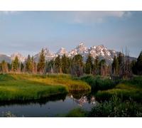 1000 Piece Jigsaw Puzzle for Adults and Kids Age 14 Years Up - Montañas árboles río 75x50cm