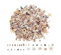 1000 Piezas Conchas Marinas Mini Naturales Mixtas, 20 Tipos De Conchas Pequeñas A Granel Para Manualidades, Concha Pequeñas Y Estrellas De Mar Mixtas, Decoración De Velas Celebración Tema Playa DIY