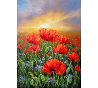 1000 Piezas - Poppys Red Flower Painting - Art Rompecabezas - Irregularity Rompecabezas - Forjuguetes Personalizados para Adultos - Educational Games - Home Decor Gifts Zx124Ap
