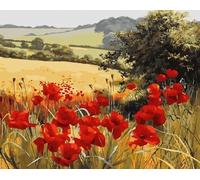 1000 Piezas - Poppys Red Flower Painting - Art Rompecabezas - Irregularity Rompecabezas - Forjuguetes Personalizados para Adultos - Educational Games - Home Decor Gifts Zx119Ap