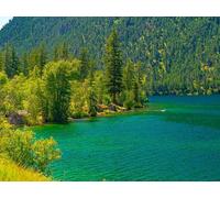 1000 Piezas Puzzle,Juegos de Rompecabezas para Juego Familiar - Casas en el Lago y bosques 75x50cm
