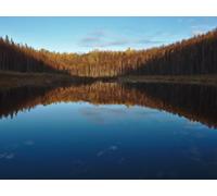 1000 Piezas Puzzle,Juegos de Rompecabezas para Juego Familiar - Lagos bosques y Agua 75x50cm